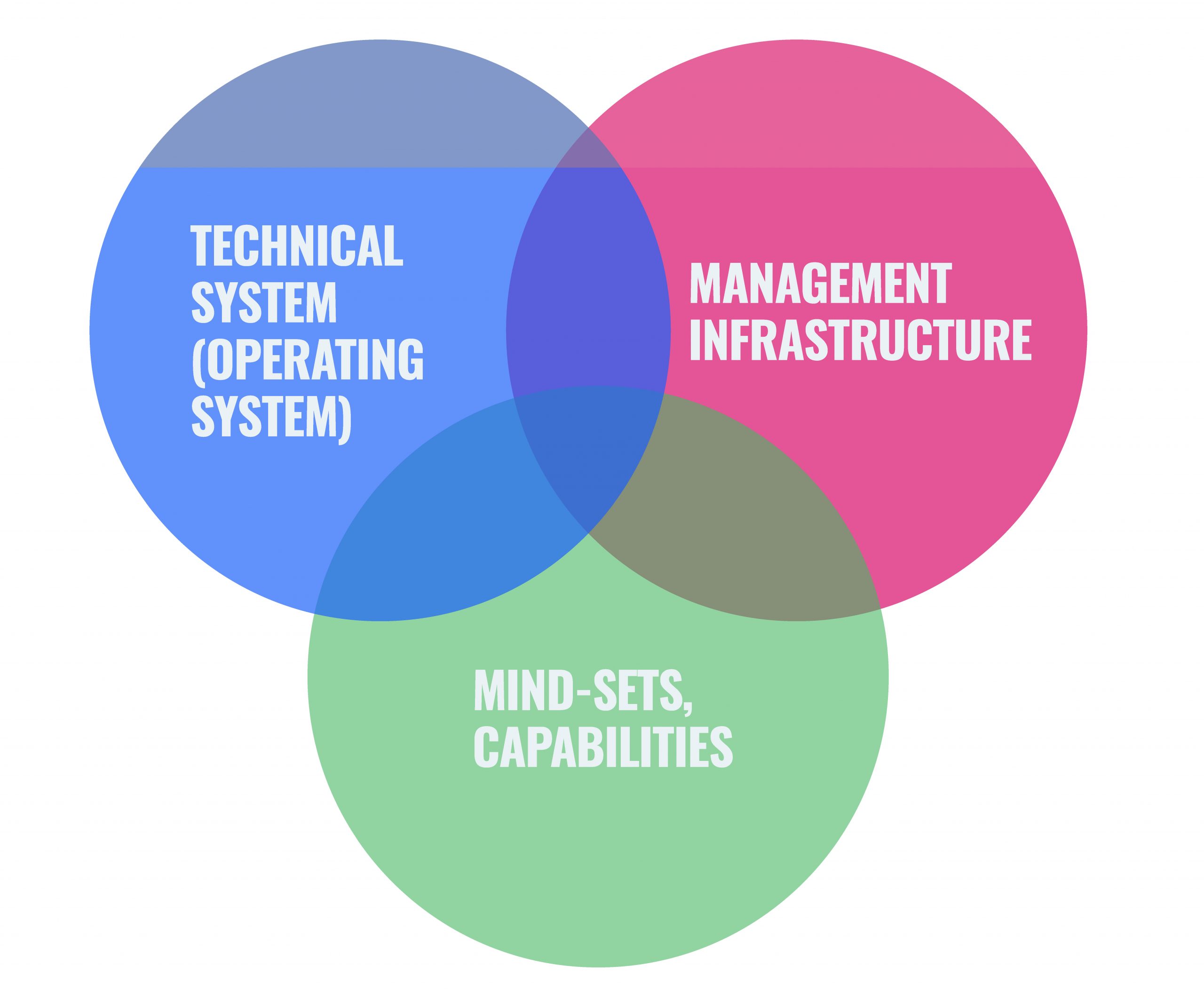 Tactical Tenderness & Strategic Softness — Where do you first