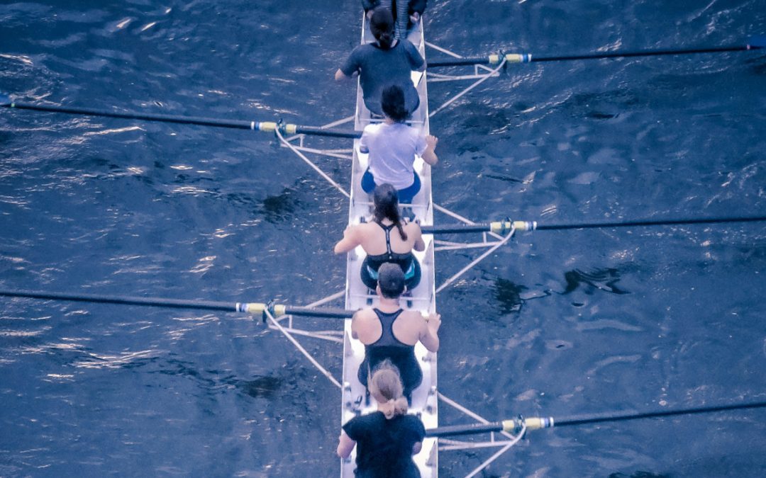 Strategic Misalignment Between Private Equity Operating & Portfolio Company Management Teams