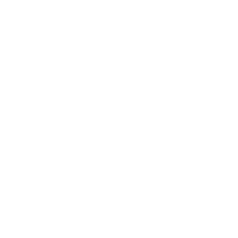 Digital Due Diligence & Systems Assessment