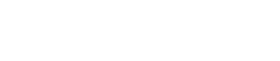 InitusGPT - logo