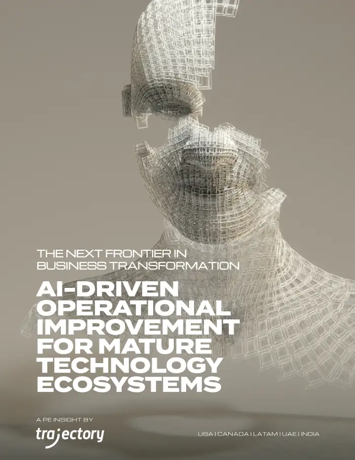 PDF Insight The Next Frontier in Business Transformation- AI-Driven Operational Improvement for Mature Technology Ecosystems