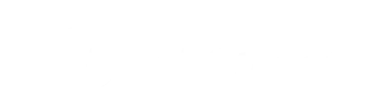 BirchStreet Client Logo